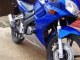 RG Crash Protectors for Honda CBR125R up to 2010