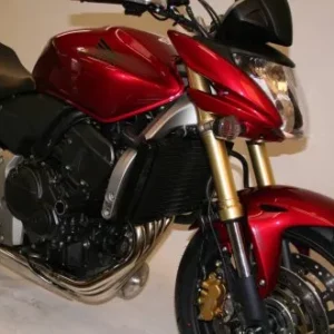 RG Crash Protectors Honda CBF600 2008 on
