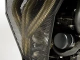RG Downpipe Guard Triumph 800 Tiger 2011 on